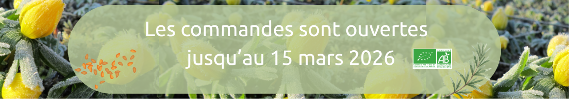 Banni&egrave;re site internet (1160 x 250 px)