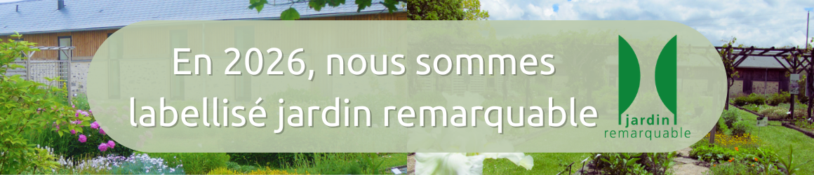 Banni&egrave;re site internet (1160 x 250 px)