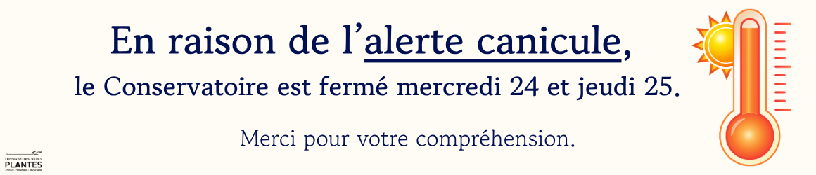 canicule