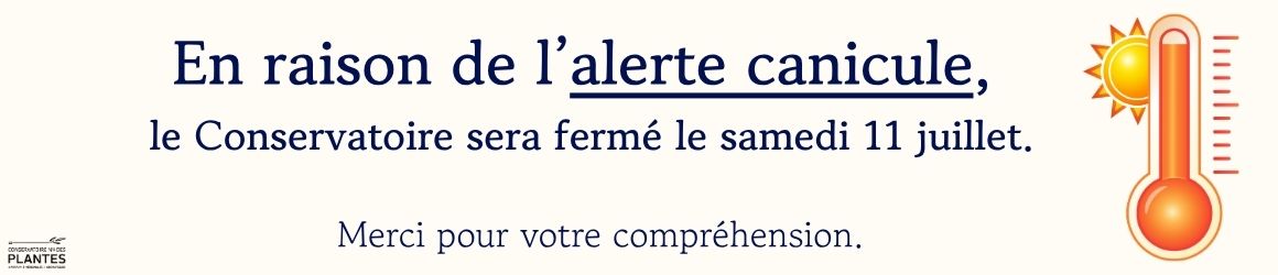 canicule(1)