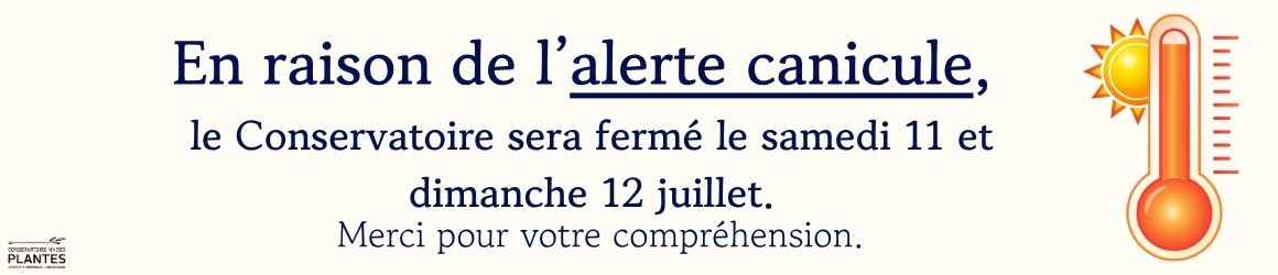 canicule(2)