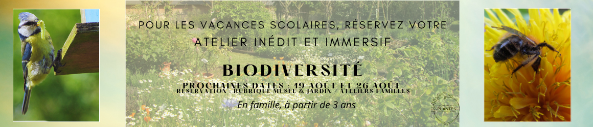 Banniere animation biodiversit&eacute; 26