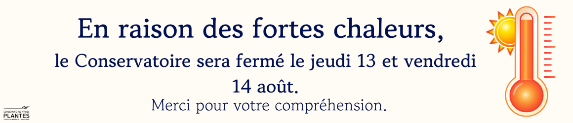 canicule(1)