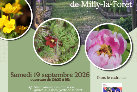 &rdquo;Patrimoine en Danger&rdquo; &ndash; Journ&eacute;es Europ&eacute;ennes du Patrimoine 2026