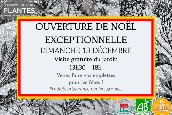 Ouverture de Noël : visite gratuite du jardin, vin chaud et emplettes responsables Ouverture de Noël : visite gratuite du jardin, vin chaud et emplettes responsables